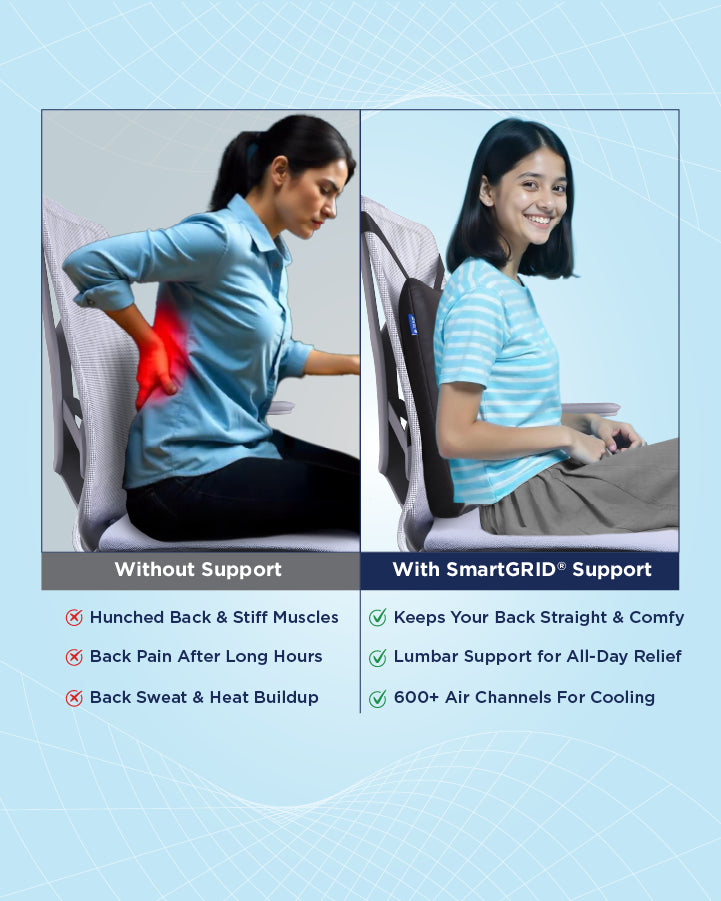 Ortho Pro Back Cushion