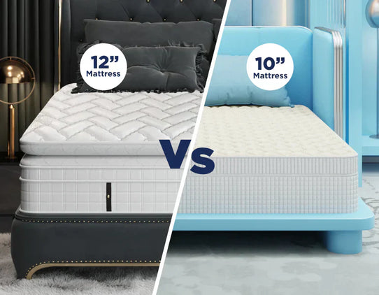 10 vs. 12 Inch Mattress - What Is Right For You- 2025 Guide