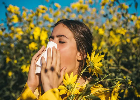 Got Allergies? How Your Bed Might Be the Culprit