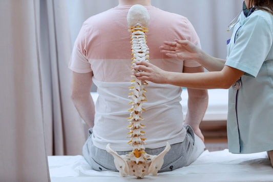 Why Do We Need Lumbar Support?
