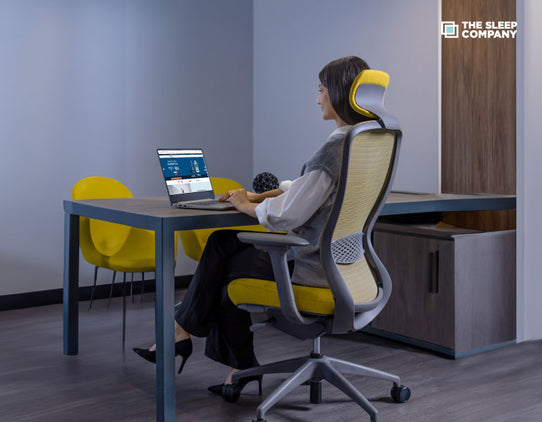 Buy Chairs Online- Ergonomic Office Chair & Orthopedic Chairs Online – The  Sleep Company