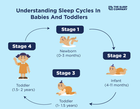 Understanding Sleep Cycles in Babies and Toddlers