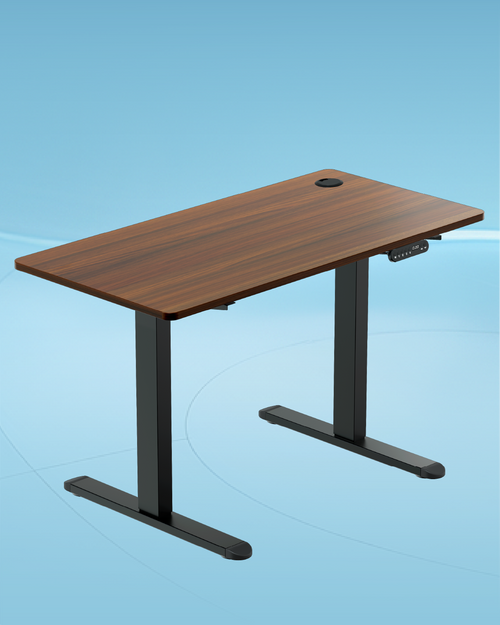 Adjustable Desk