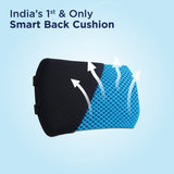 Ortho Back Cushion