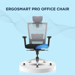 ErgoSmart Pro Office Chair