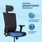 ErgoSmart Plus Office Chair (Onyx)
