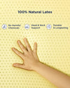 Revlax Reversible Pillow
