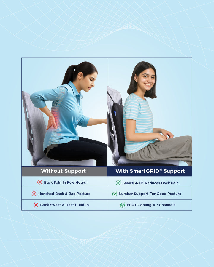 Ortho Comfort Cushion Combo