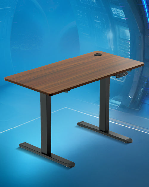 Adjustable Desk