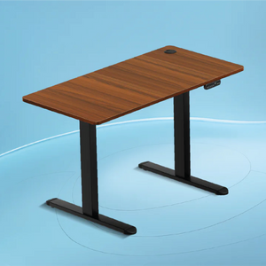 AeroPlus Adjustable Desk