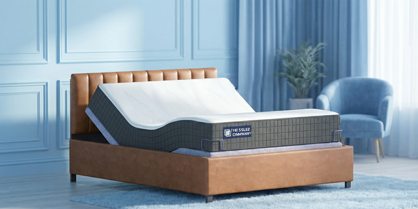 Recliner Bed