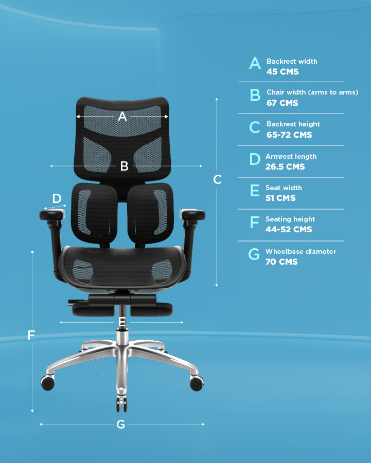 Buy Elite Premium Office Chair Online @56% OFF The Sleep Company
