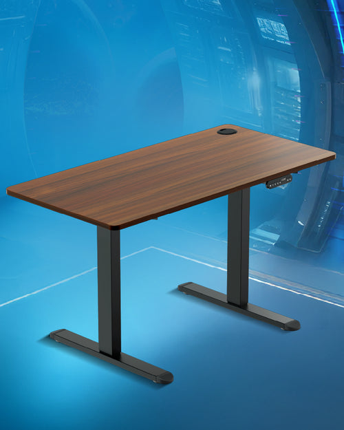 Adjustable Desk